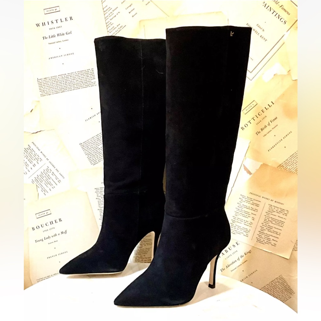 Anthropologie Larroude Kate Knee High Boots Black Suede Stiletto Pointy